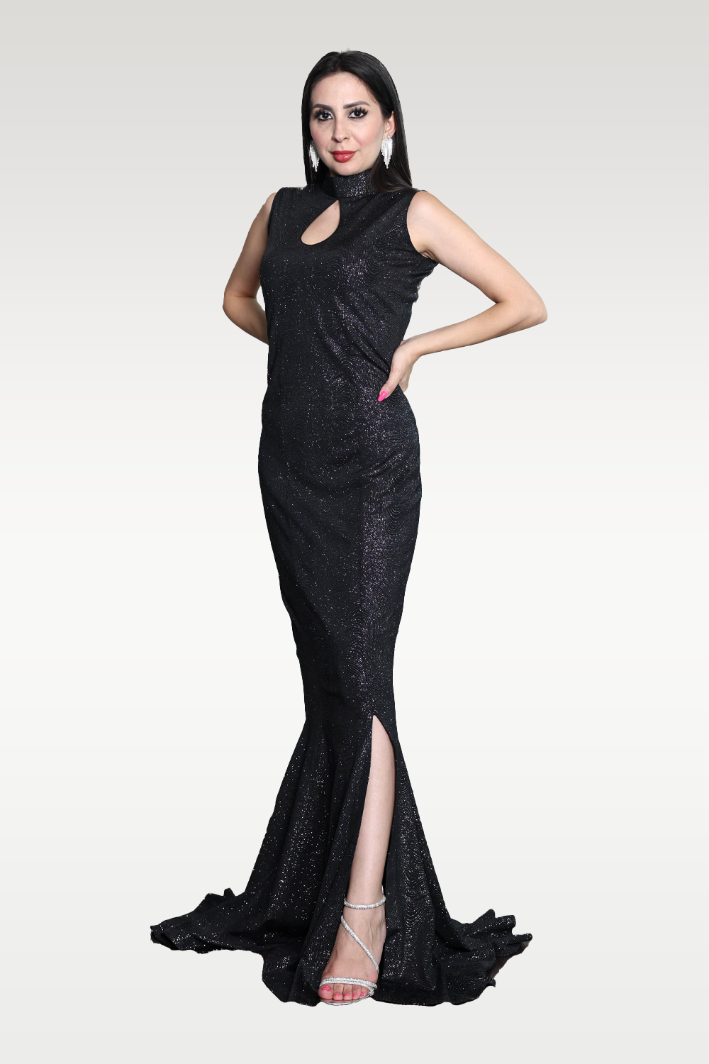 Alish Black Glittery Party Gown RMJG